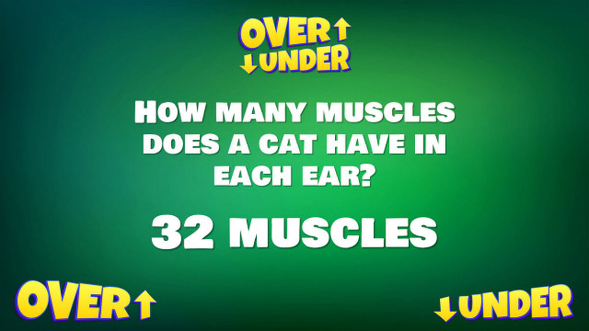 Over Under image number null